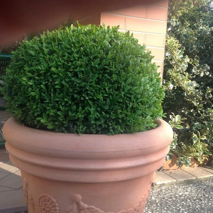 Casale El Galet Apartment Moniga del Garda Italy
